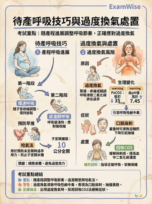 護理師 - 生產疼痛與麻醉技術 - AI 圖文解析預覽