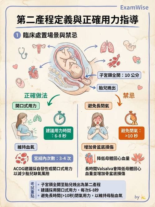 護理師 - 分娩過程與產科急症 - AI 圖文解析預覽