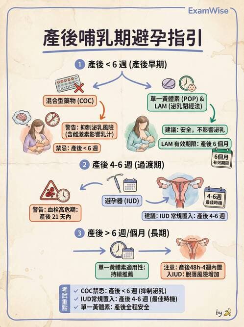 護理師 - 產後心理併發症與家庭計畫 - AI 圖文解析預覽