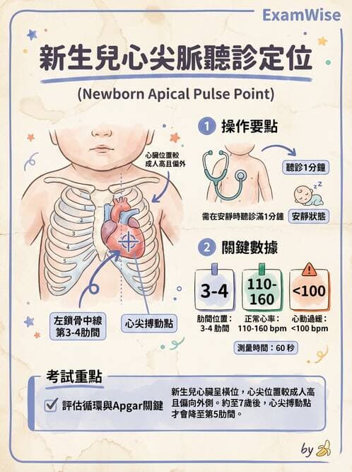 護理師 - 新生兒評估與生理特徵 - AI 圖文解析預覽