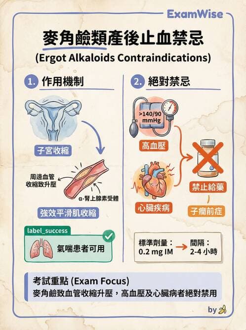 護理師 - 產後生理恢復與護理 - AI 圖文解析預覽