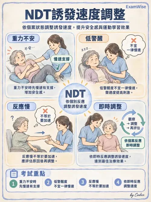 職治 - 動作相關參考架構 - AI 圖文解析預覽