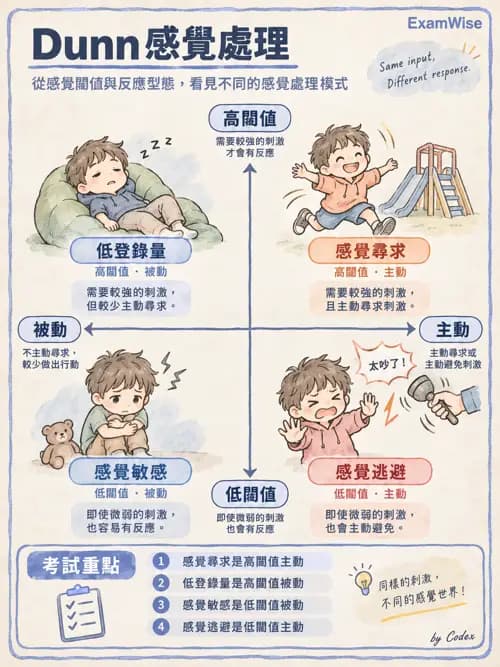 職治 - 感覺統合與感覺處理 - AI 圖文解析預覽