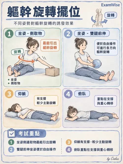 職治 - 擺位、輔助科技與環境改造 - AI 圖文解析預覽