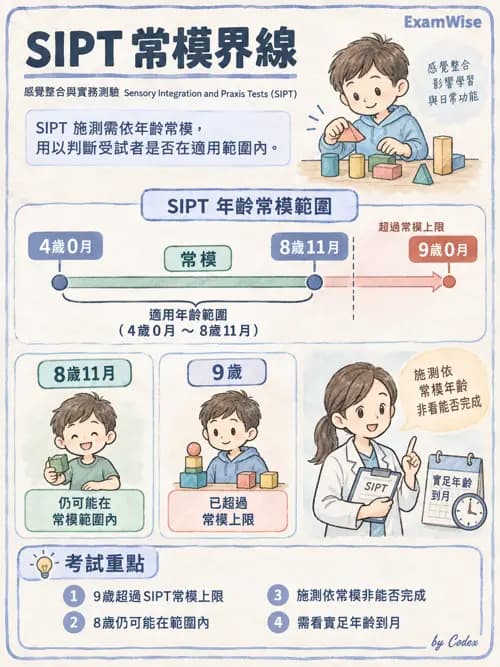 職治 - 感覺統合與感覺處理 - AI 圖文解析預覽