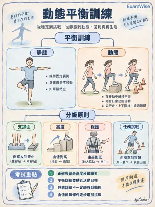 職治 - 動作發展與手功能 - AI 圖文解析預覽