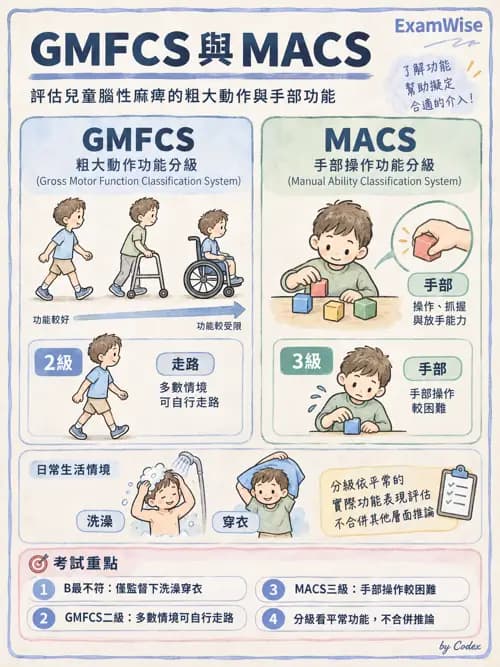 職治 - 神經動作與醫療相關診斷 - AI 圖文解析預覽