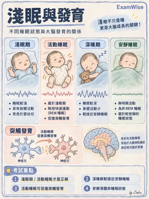 職治 - 醫療與早期療育體系 - AI 圖文解析預覽