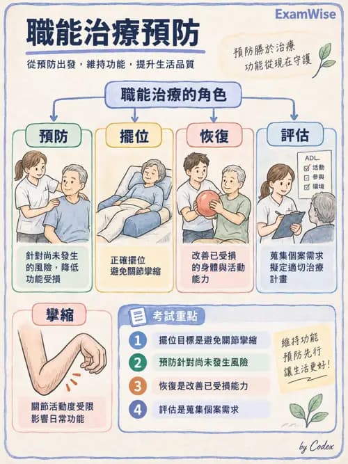 職治 - 擺位、輔助科技與環境改造 - AI 圖文解析預覽