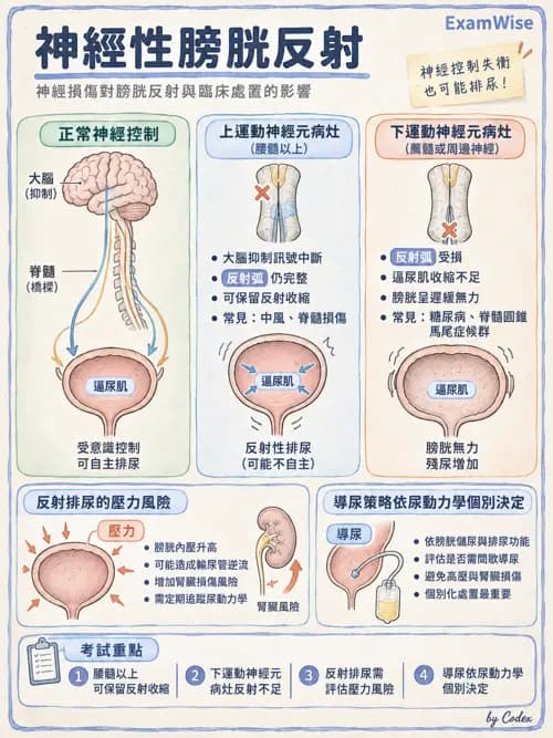職治 - 神經動作與醫療相關診斷 - AI 圖文解析預覽