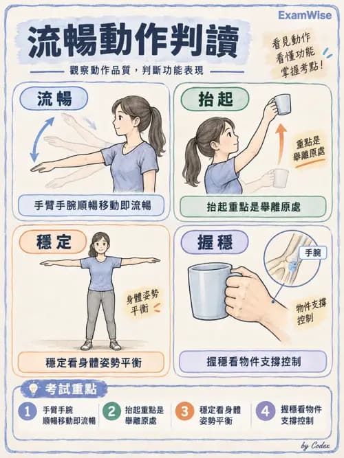 職治 - OTPF實務架構與ICF - AI 圖文解析預覽