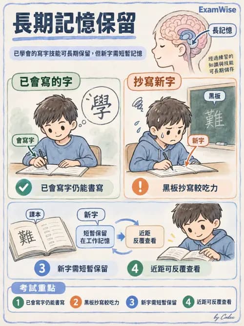 職治 - OTPF實務架構與ICF - AI 圖文解析預覽