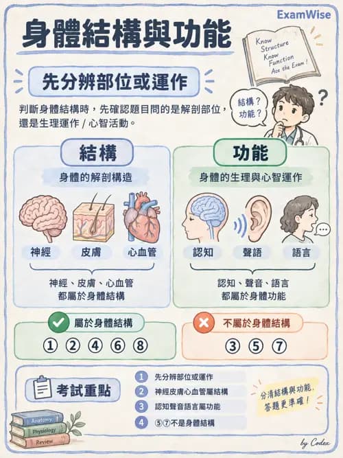 職治 - OTPF實務架構與ICF - AI 圖文解析預覽