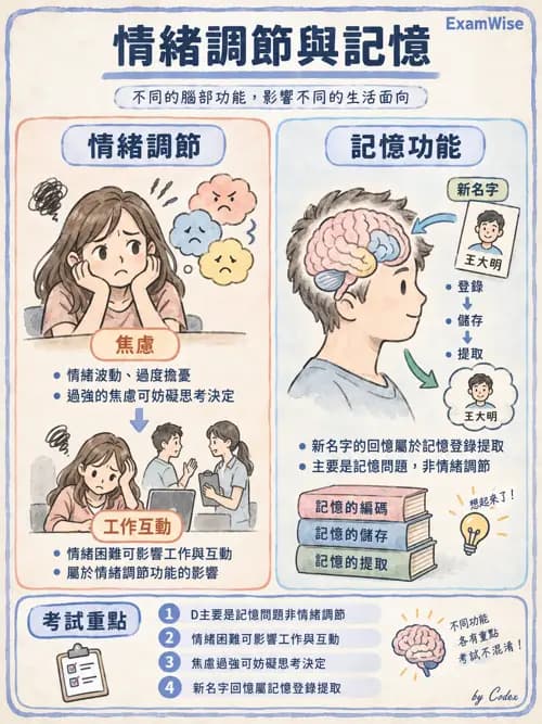 職治 - OTPF實務架構與ICF - AI 圖文解析預覽