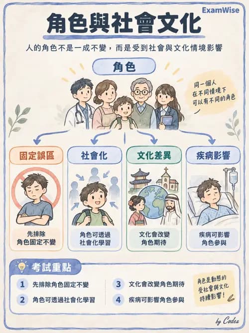 職治 - OTPF實務架構與ICF - AI 圖文解析預覽