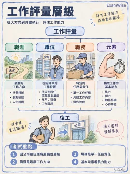 職治 - 職業評量與功能性能力評估 - AI 圖文解析預覽