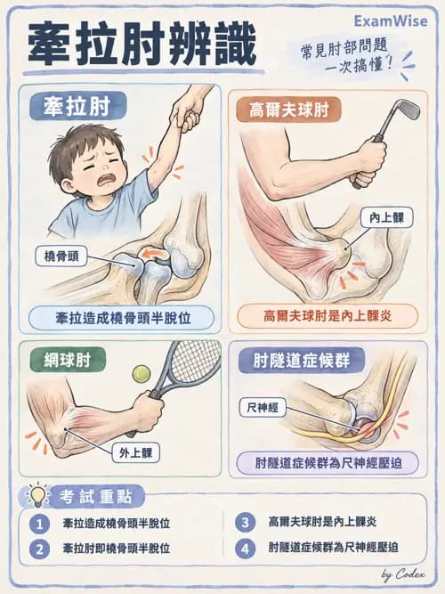 職治 - 肌動學原理與上肢 - AI 圖文解析預覽