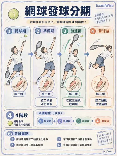 職治 - 肌動學原理與上肢 - AI 圖文解析預覽