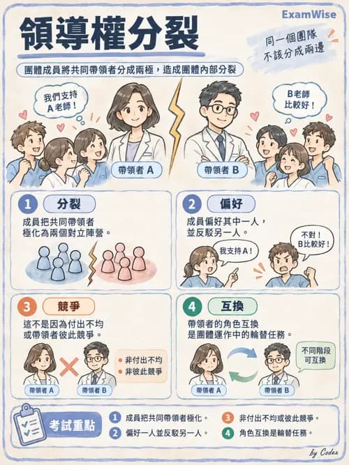 職治 - 團體發展與領導 - AI 圖文解析預覽