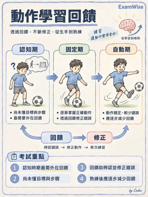 職治 - 參考架構與應用理論 - AI 圖文解析預覽