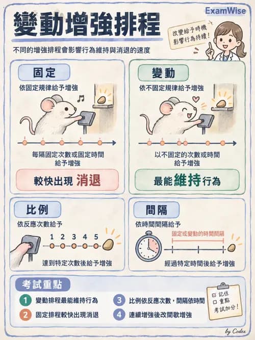 職治 - 參考架構與應用理論 - AI 圖文解析預覽
