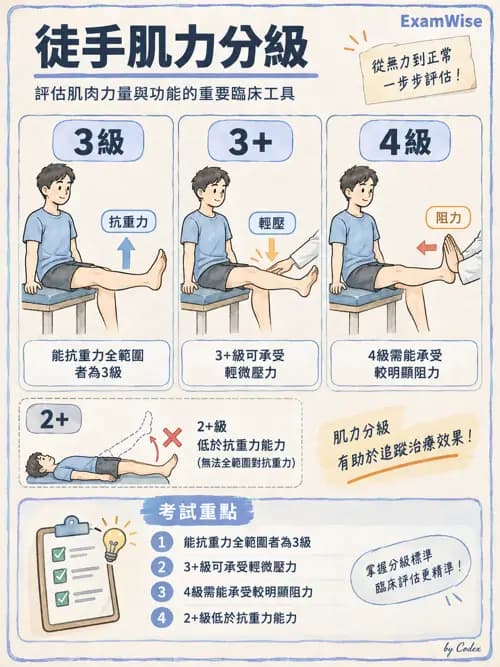 職治 - 動作功能與生物力學 - AI 圖文解析預覽