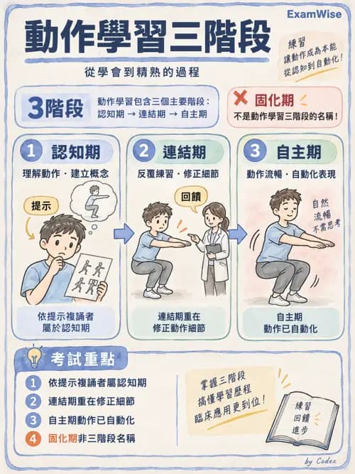 職治 - 神經動作治療理論 - AI 圖文解析預覽