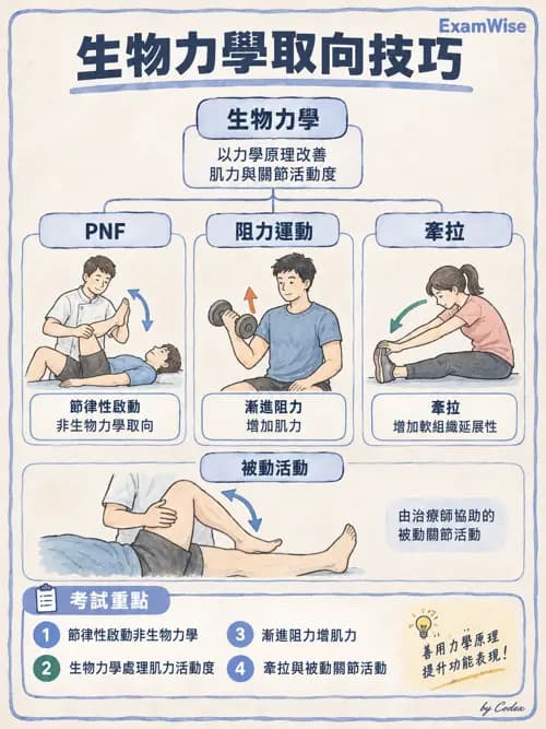 職治 - 實務歷程、活動分析與病歷 - AI 圖文解析預覽