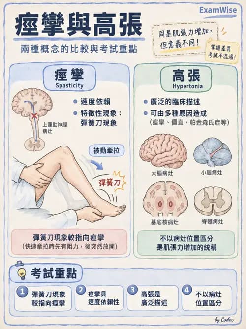 職治 - 動作功能與生物力學 - AI 圖文解析預覽