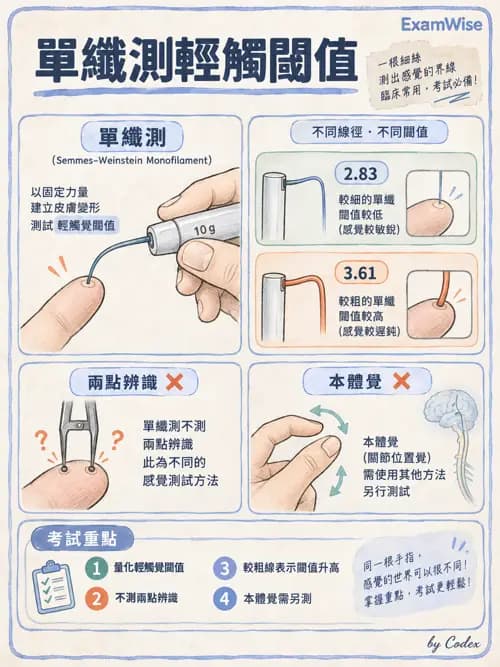 職治 - 感覺、視覺與知覺 - AI 圖文解析預覽