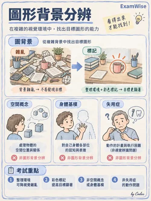 職治 - 感覺、視覺與知覺 - AI 圖文解析預覽
