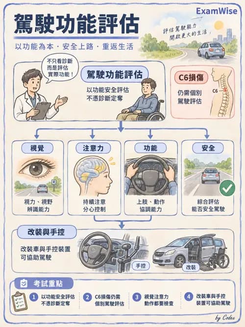 職治 - 工作、休閒與社區參與 - AI 圖文解析預覽