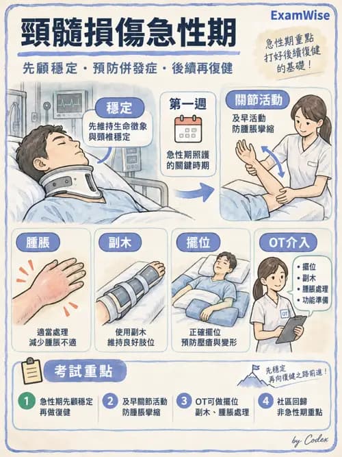 職治 - 脊髓損傷 - AI 圖文解析預覽
