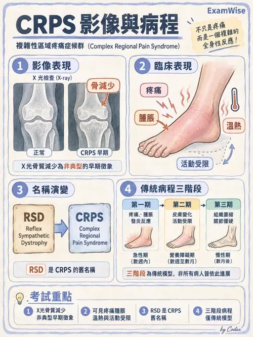 職治 - 手部與周邊神經損傷 - AI 圖文解析預覽