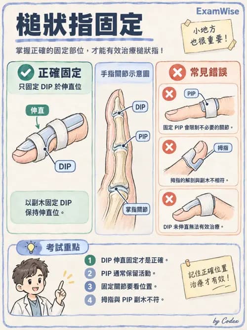 職治 - 副木與裝具 - AI 圖文解析預覽