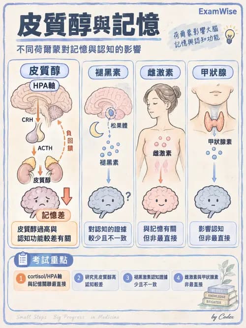 職治 - 精神藥物與神經生物 - AI 圖文解析預覽
