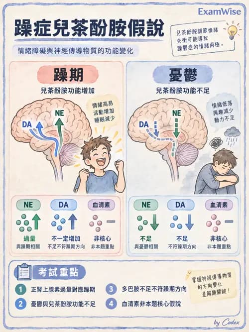 職治 - 精神藥物與神經生物 - AI 圖文解析預覽