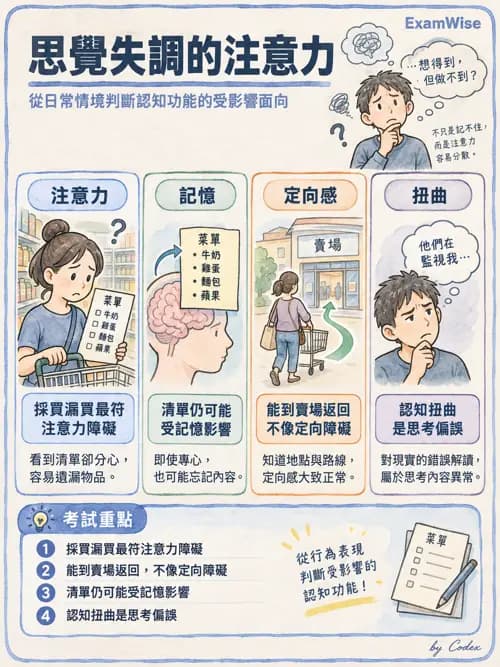 職治 - 認知取向與認知障礙模式 - AI 圖文解析預覽