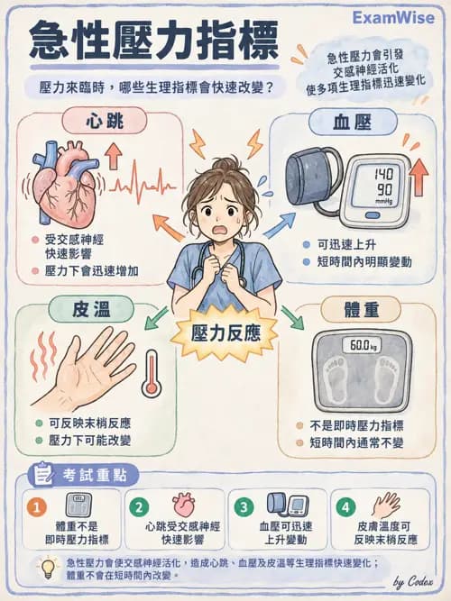 職治 - 壓力、情緒與感覺處理 - AI 圖文解析預覽
