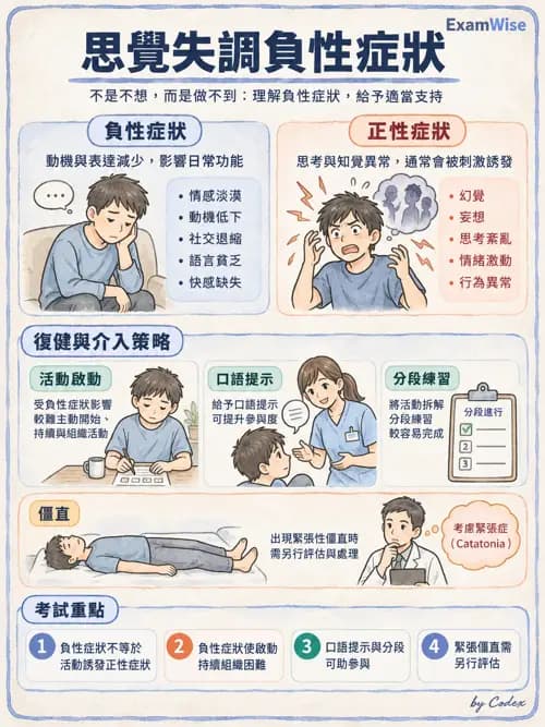 職治 - 思覺失調與情緒障礙 - AI 圖文解析預覽