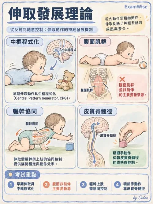 職治 - 動作相關參考架構 - AI 圖文解析預覽