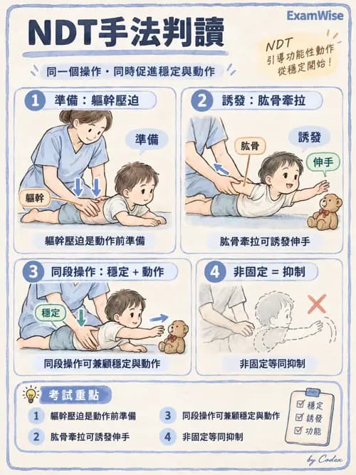 職治 - 動作相關參考架構 - AI 圖文解析預覽