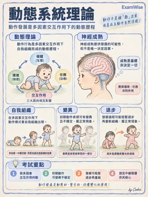職治 - 動作相關參考架構 - AI 圖文解析預覽