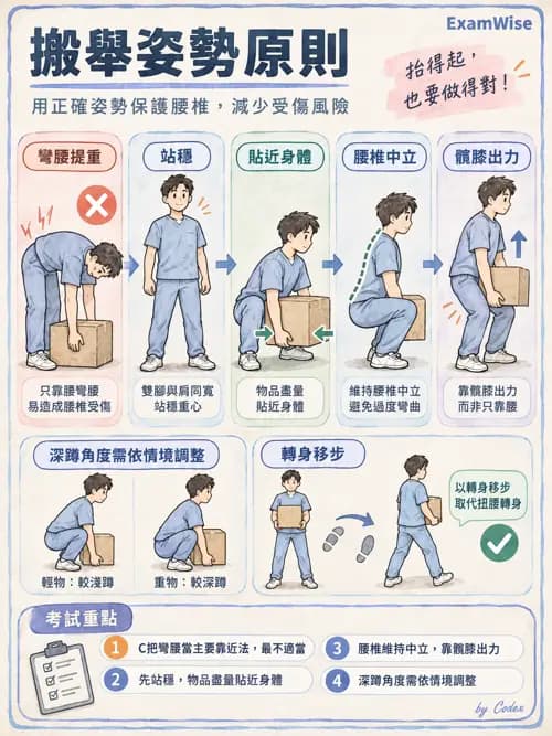 職治 - 脊椎、下肢與姿勢控制 - AI 圖文解析預覽