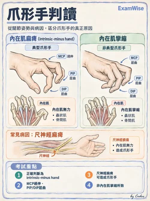 職治 - 肌動學原理與上肢 - AI 圖文解析預覽