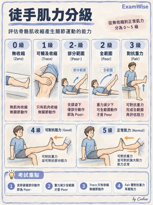 職治 - 評估方法與測量 - AI 圖文解析預覽