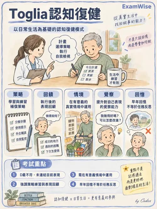職治 - 團體類型與治療關係 - AI 圖文解析預覽