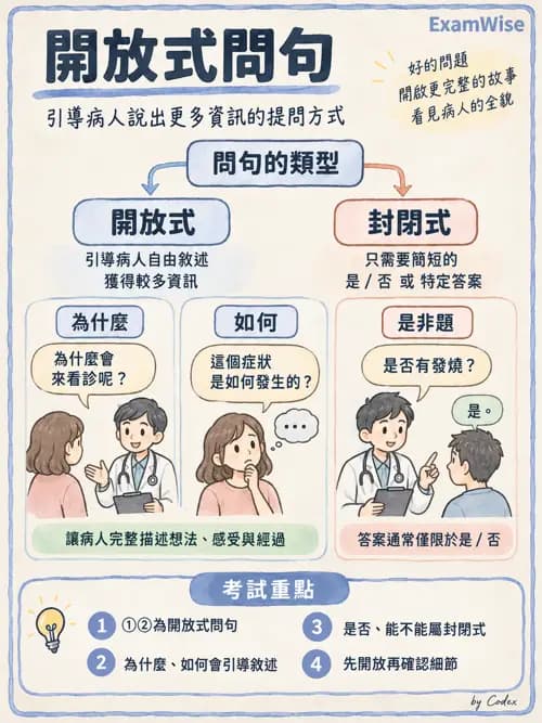 職治 - 團體類型與治療關係 - AI 圖文解析預覽