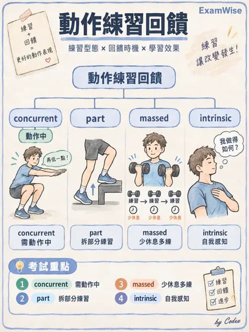 職治 - 參考架構與應用理論 - AI 圖文解析預覽