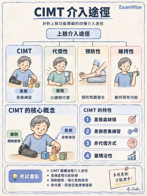 職治 - 實務架構與介入歷程 - AI 圖文解析預覽